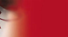 Noranex Consulting