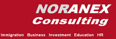 Noranex Consulting